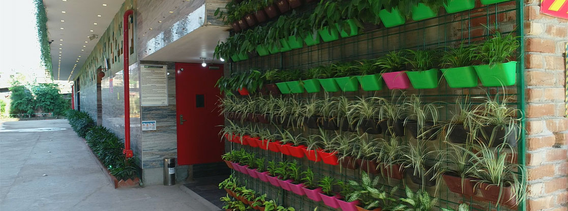 Green Buildig